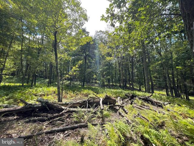 Land for sale in Zion Grove, Pennsylvania