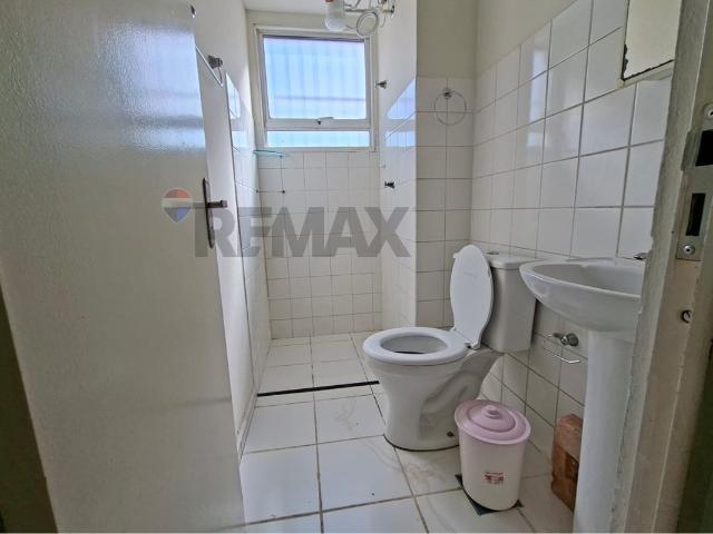Apartamento aluguel em Região Imediata de Campinas, Região Metropolitana de Campinas