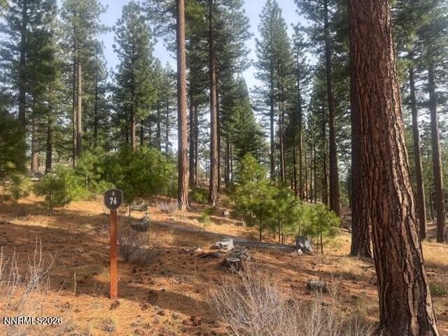 Land for sale in Carson City, Nevada