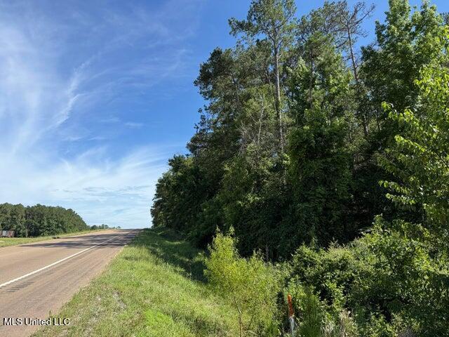 Land for sale in Collins, Mississippi