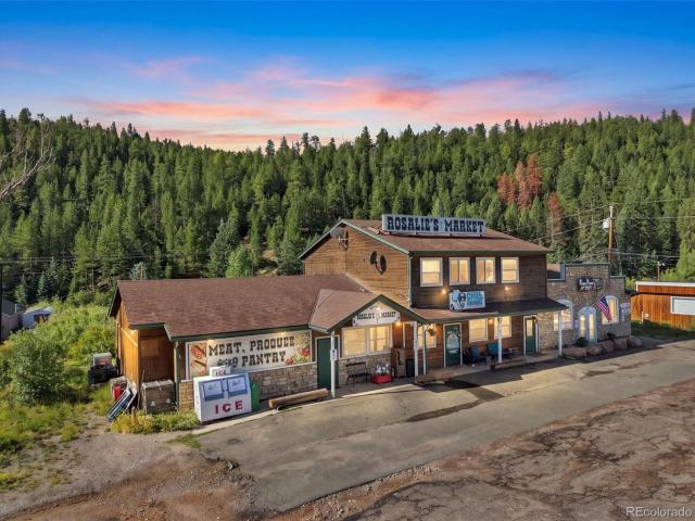 Commercial for sale in Bailey, Colorado
