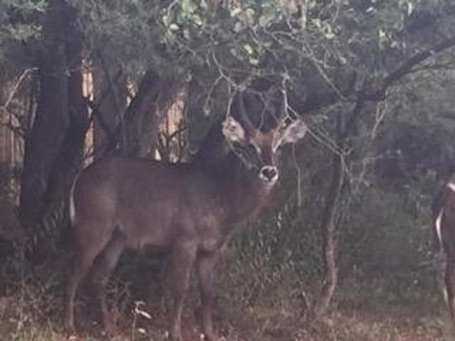 Land for sale in North West