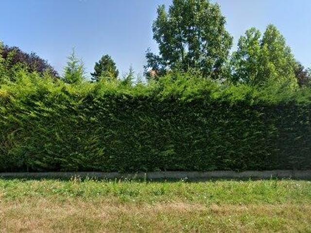 Apartment mieten in Neusiedl am See, Burgenland