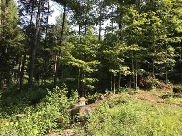 Land for sale in Huntington, Massachusetts