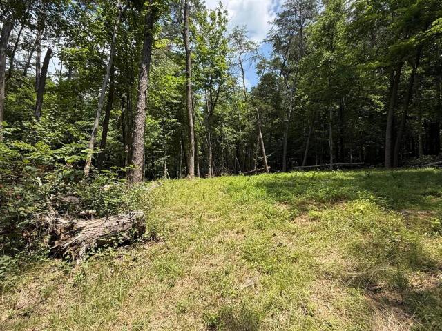 Land for sale in Sportsmens Paradise, Clarkson