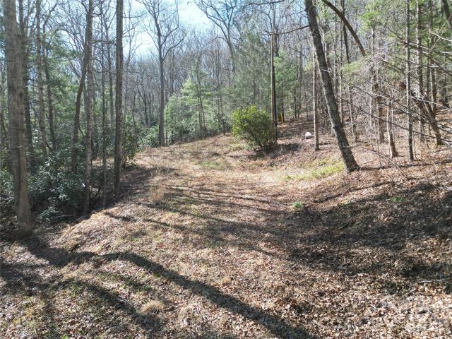 Land for sale in Fairview, North Carolina