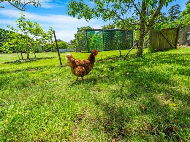 House for sale in Auckland, Oroua County