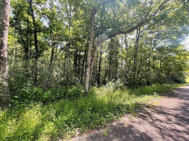 Land for sale in Picayune, Mississippi