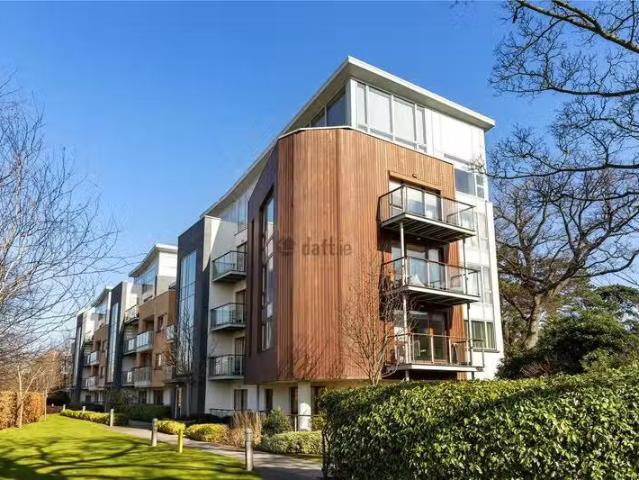 Apartment to rent