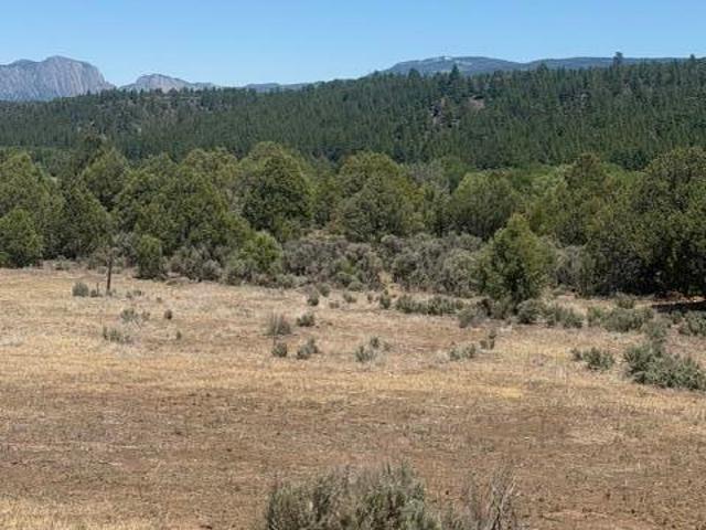 House for sale in Los Ojos, New Mexico