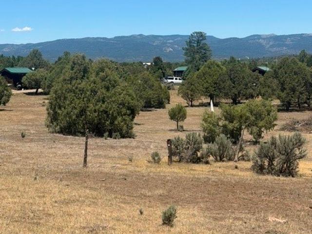House for sale in New Mexico