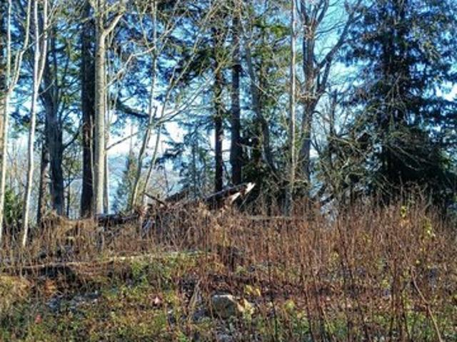 Land for sale in Washington