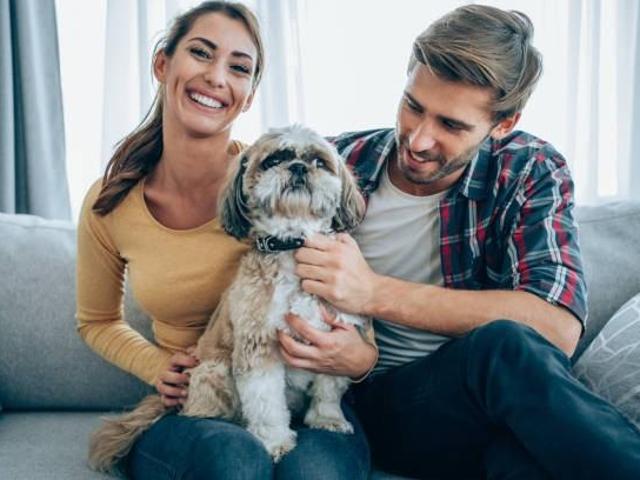 Apartment for rent in Wedgewood, Alberta