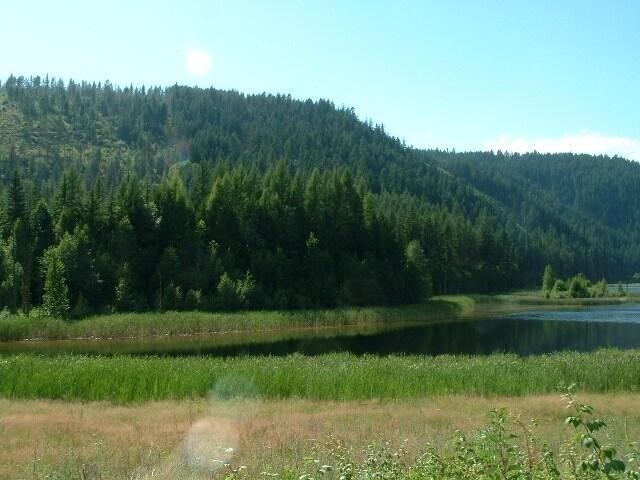 Land for sale in Northport, Stevens County
