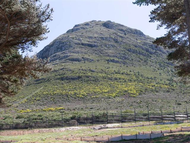 Property for sale in Cape Town, Western Cape