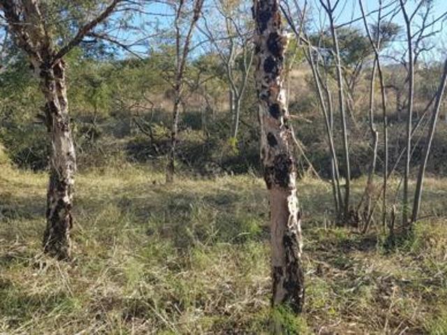 Property for sale in Umgungundlovu, Kwazulu-natal