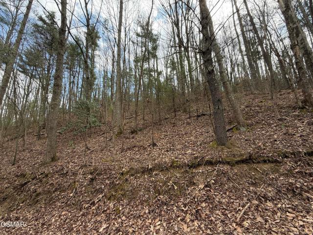 Land for sale in Tennessee