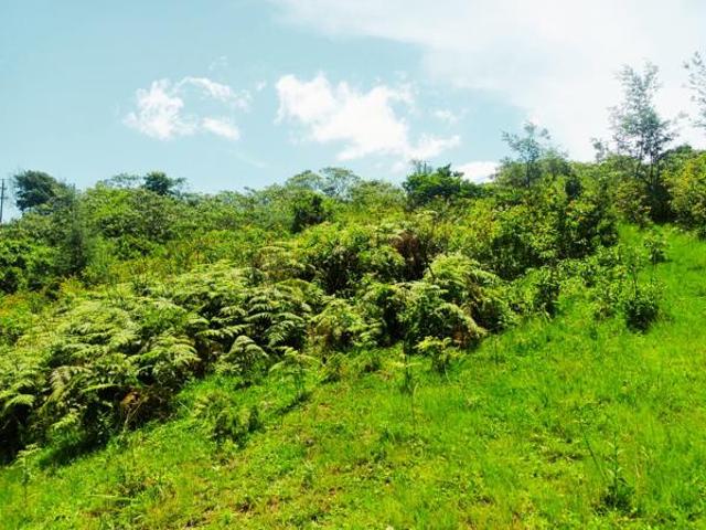Property for sale in Vryheid, Kwazulu-natal