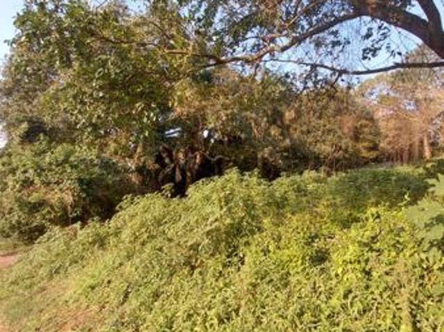 Property for sale in Mtunzini, uMlalazi Local Municipality