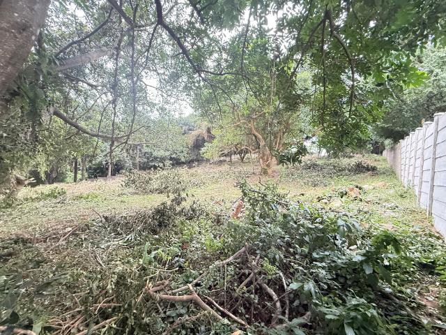 Land for sale in Mtunzini, Kwazulu-natal