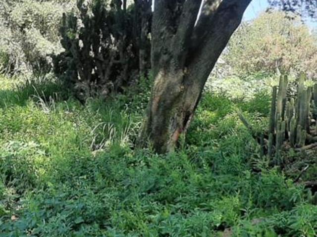 Property for sale in Midvaal, Gauteng