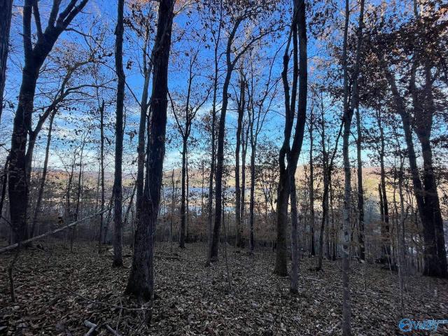 Land for sale in Grant, Alabama