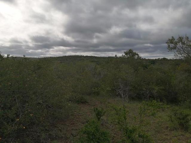 Property for sale in Bushmans River Mouth, Eastern Cape