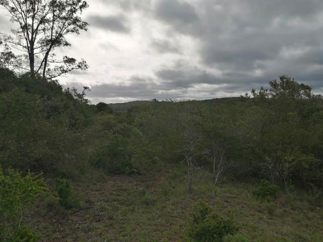 Property for sale in Bushmans River Mouth, Eastern Cape