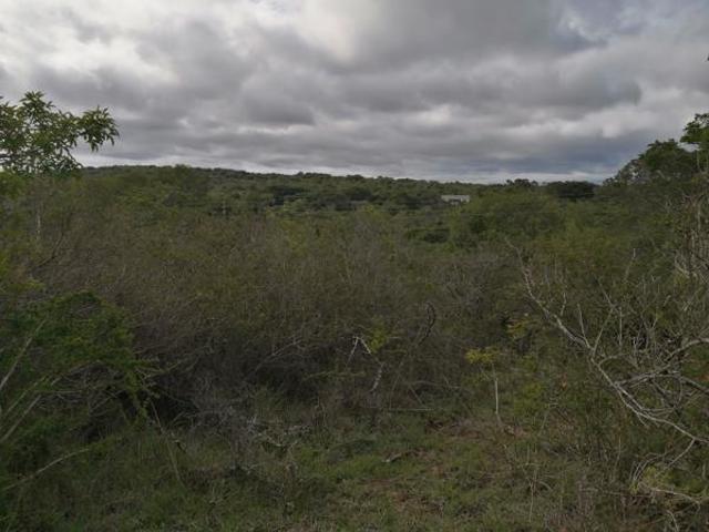 Property for sale in Bushmans River Mouth, Eastern Cape