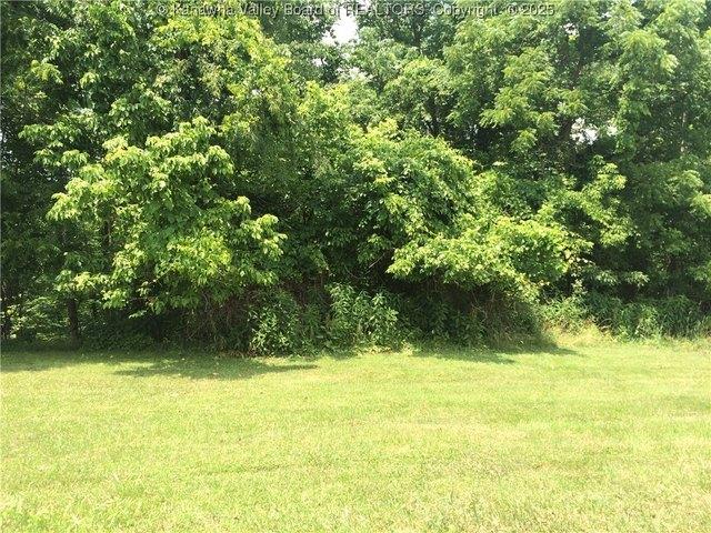 Land for sale in Cottageville, West Virginia