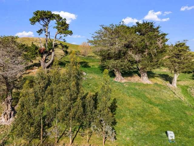 House for sale in Waipawa