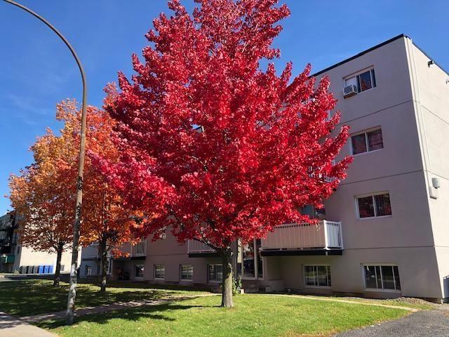 Apartment for rent in Longueuil, Quebec