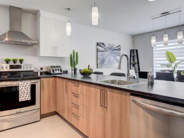 Apartment for rent in Saint Georges De Beauce, Quebec