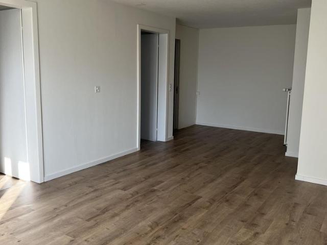 Apartment mieten in Vogelsang, Arth