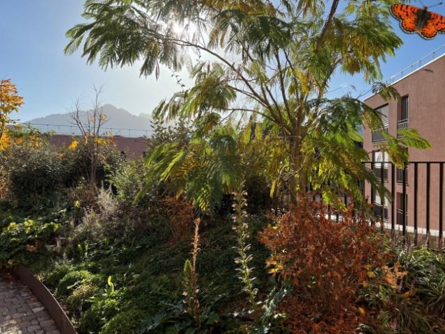 Wohnung mieten in La Tour-de-Trême, Bulle