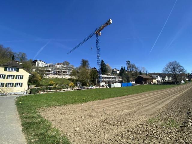 Wohnung kaufen in Othmarsingen, Aargau