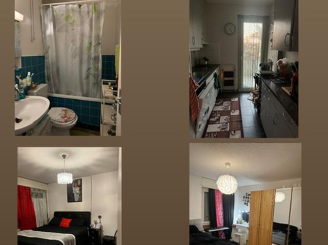 Wohnung mieten in Bern