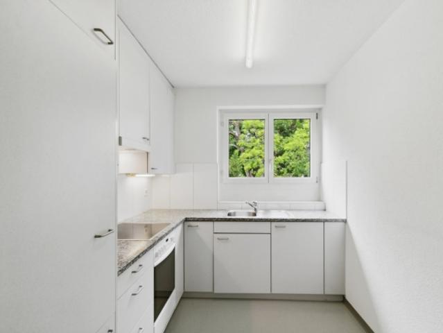 Wohnung mieten in Wetzikon (ZH), Bezirk Hinwil