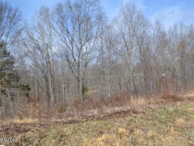 Land for sale in Tennessee