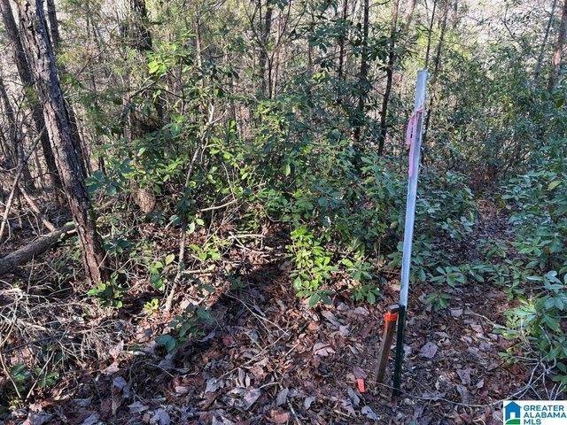 Land for sale in Northport, Tuscaloosa County