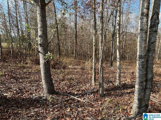 Land for sale in Alberta, Alabama