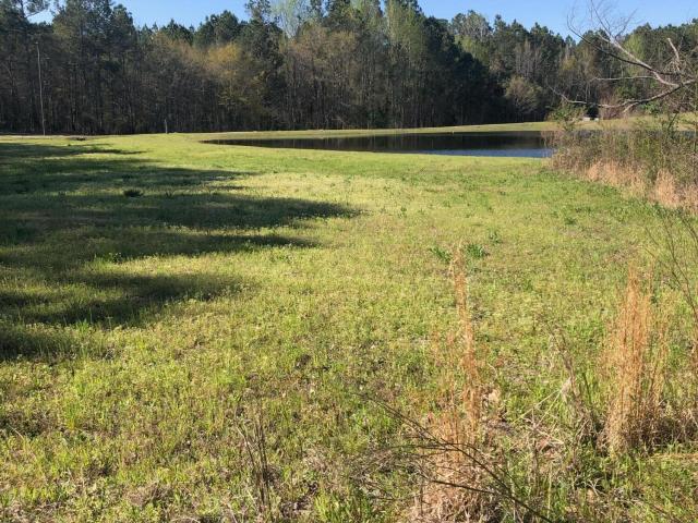 Land for sale in Thomson, Georgia