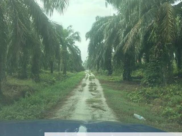 Shop for sale in Perak, Hutan Melintang