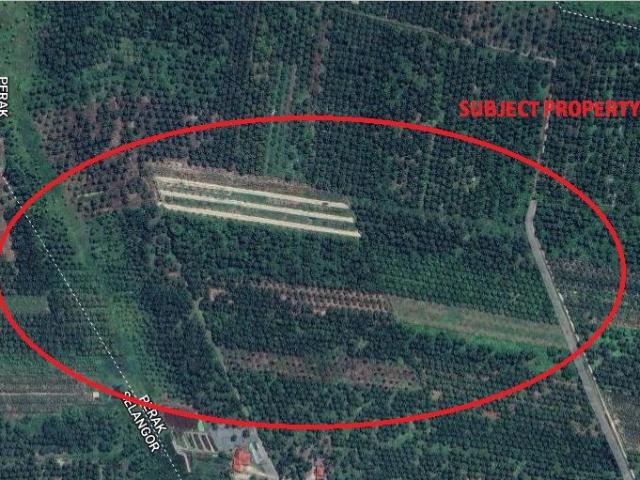 Property for sale in Perak, Hutan Melintang