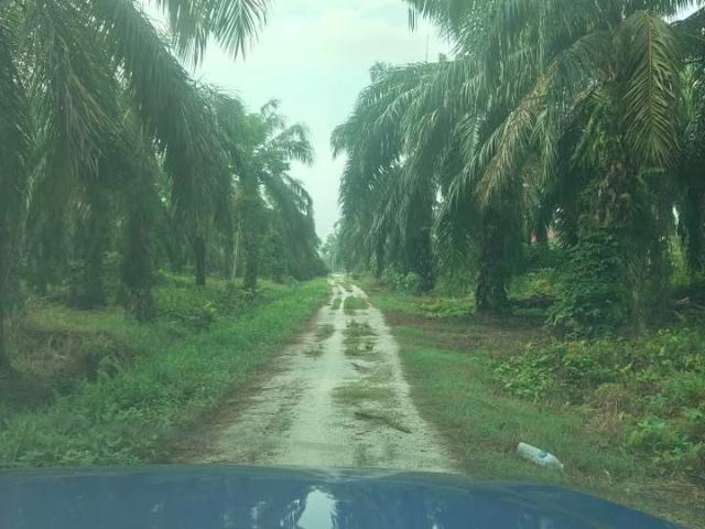 Property for sale in Perak, Hutan Melintang