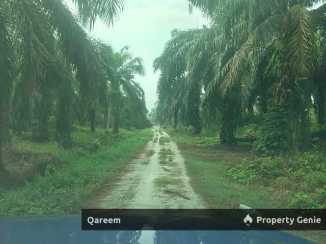 Property for sale in Perak