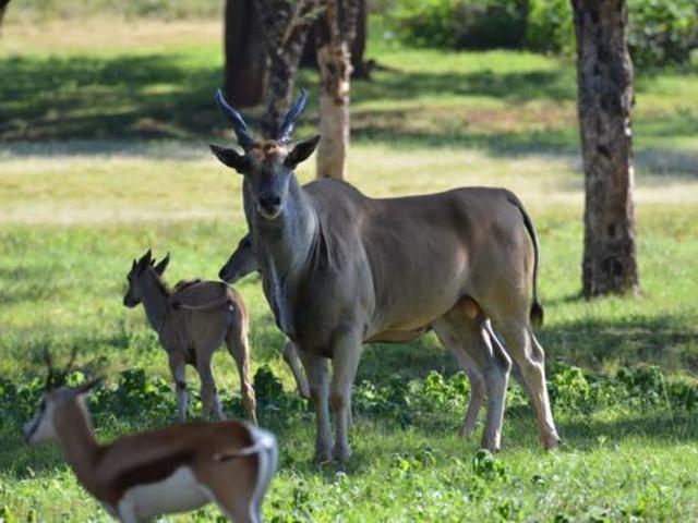 Property for sale in Drakensberg, Kwazulu-natal