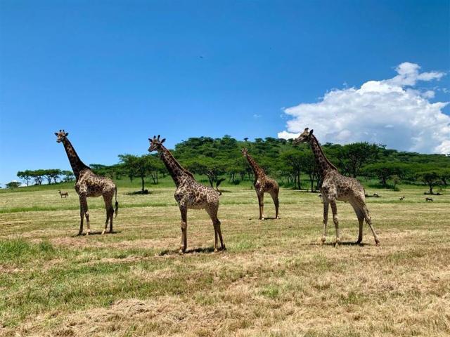 Property for sale in Drakensberg, Kwazulu-natal