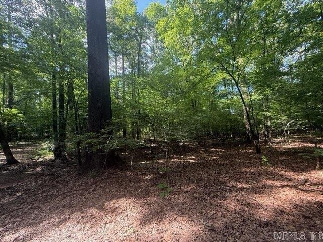 Land for sale in Ark
