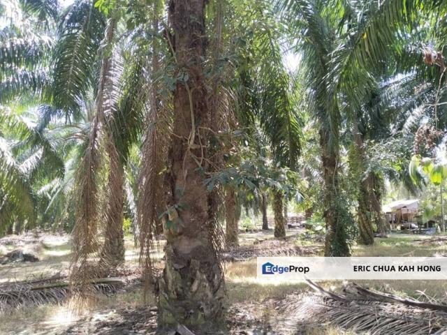 Shop for sale in Perak, Parit